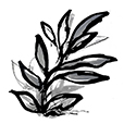 SustainedLeaves3