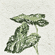 TactileLeaves2