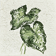 TactileLeaves3