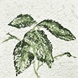 TactileLeaves4