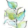 TexturedLeaves2