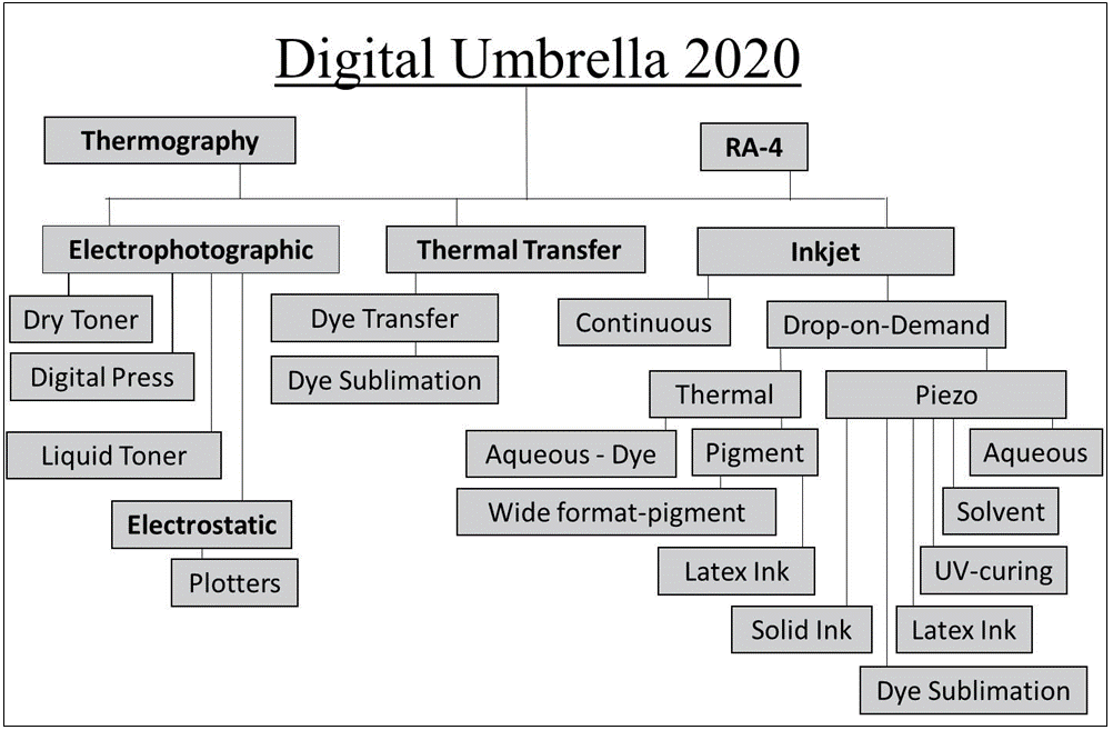 202004_D1