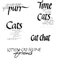CatWords3