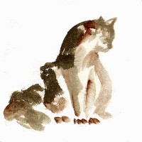 Feline 4