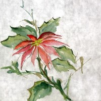 HPoinsettia3