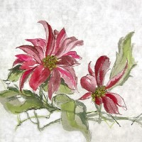 HPoinsettia4