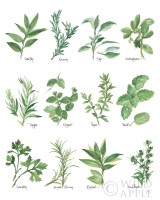 HerbChartWhite