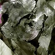 CharcoalEssence2