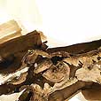 TorsoInBrown3