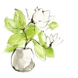 PlantMagnolia2