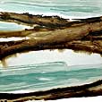 Driftwood1