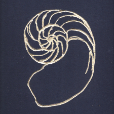 GoldNautilus2