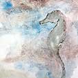 Seahorse1