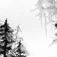 TreesWall1